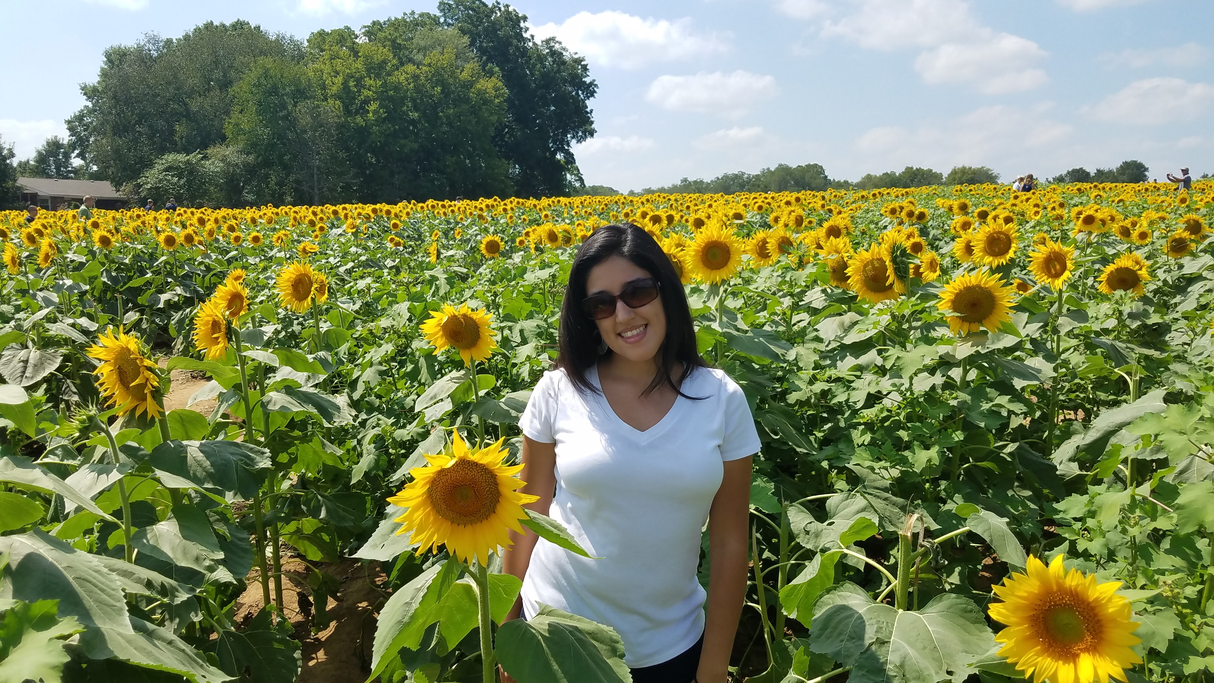 Meet the Team: Melissa Arroyo Featured Image